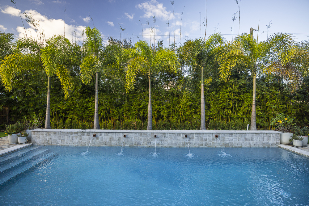 7 of the Best Palm Trees for Your Central FL Landscaping